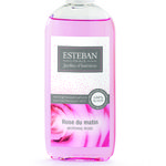 Jardins d'intérieur bouquet parfumé solution rose du matin (photo 1/1)