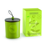 Sous les feuilles - Bougie déco parfumée rechargeable (photo 1/1)