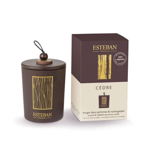 Cêdre - Bougie déco parfumée rechargeable (photo 1/3)