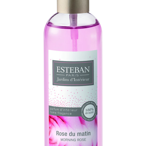 Jardins d'intérieur vaporisateur 100 ml rose du matin (photo 1/1)