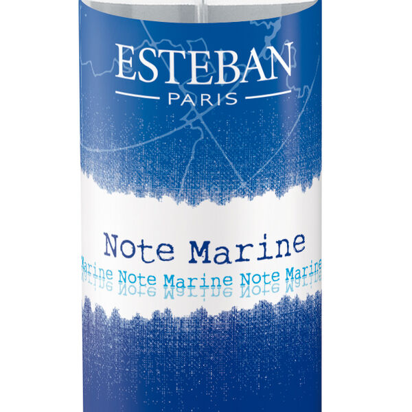 Note marine - Solution pour bouquet parfumé (photo 1/1)
