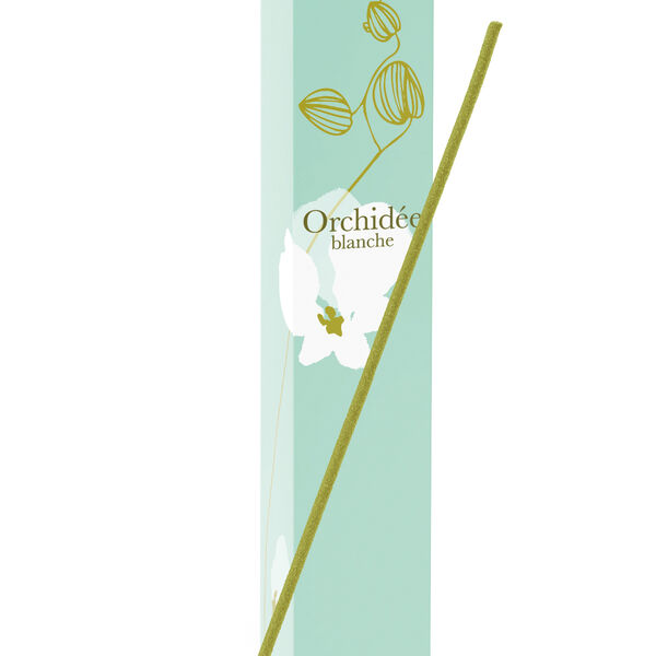 Orchidée blanche encens japonais (photo 1/1)