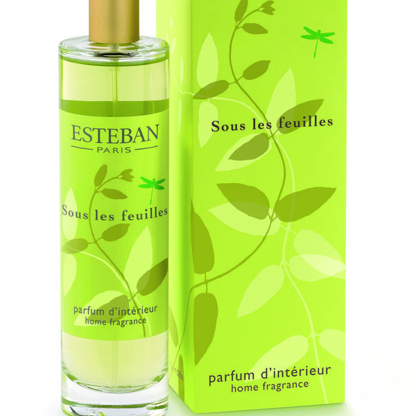 Sous les feuilles - Vaporisateur 100 ml (photo 1/1)