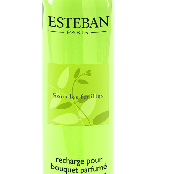Sous les feuilles - Solution pour bouquet parfumé (photo 1/1)