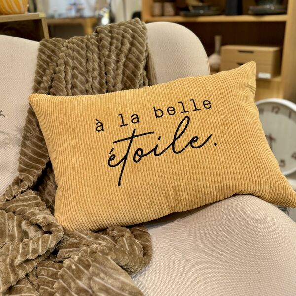 Coussin Pôdevache Velours brodé Belle Étoile 40x60 (photo 1/2)